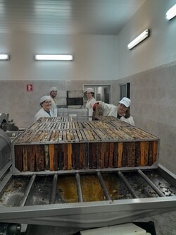 LA DULZURA DE BEJAMIA 