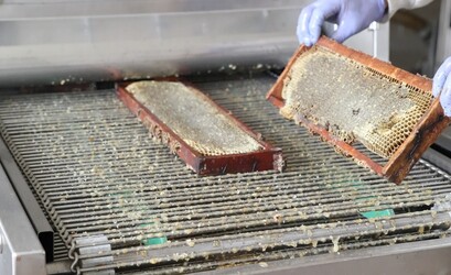 LA DULZURA DE BEJAMIA 