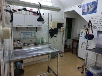 CLÍNICA MÉDICA VETERINARIA 