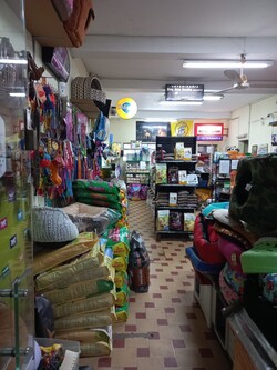 CLÍNICA MÉDICA VETERINARIA 