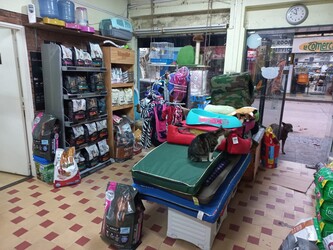 CLÍNICA MÉDICA VETERINARIA 