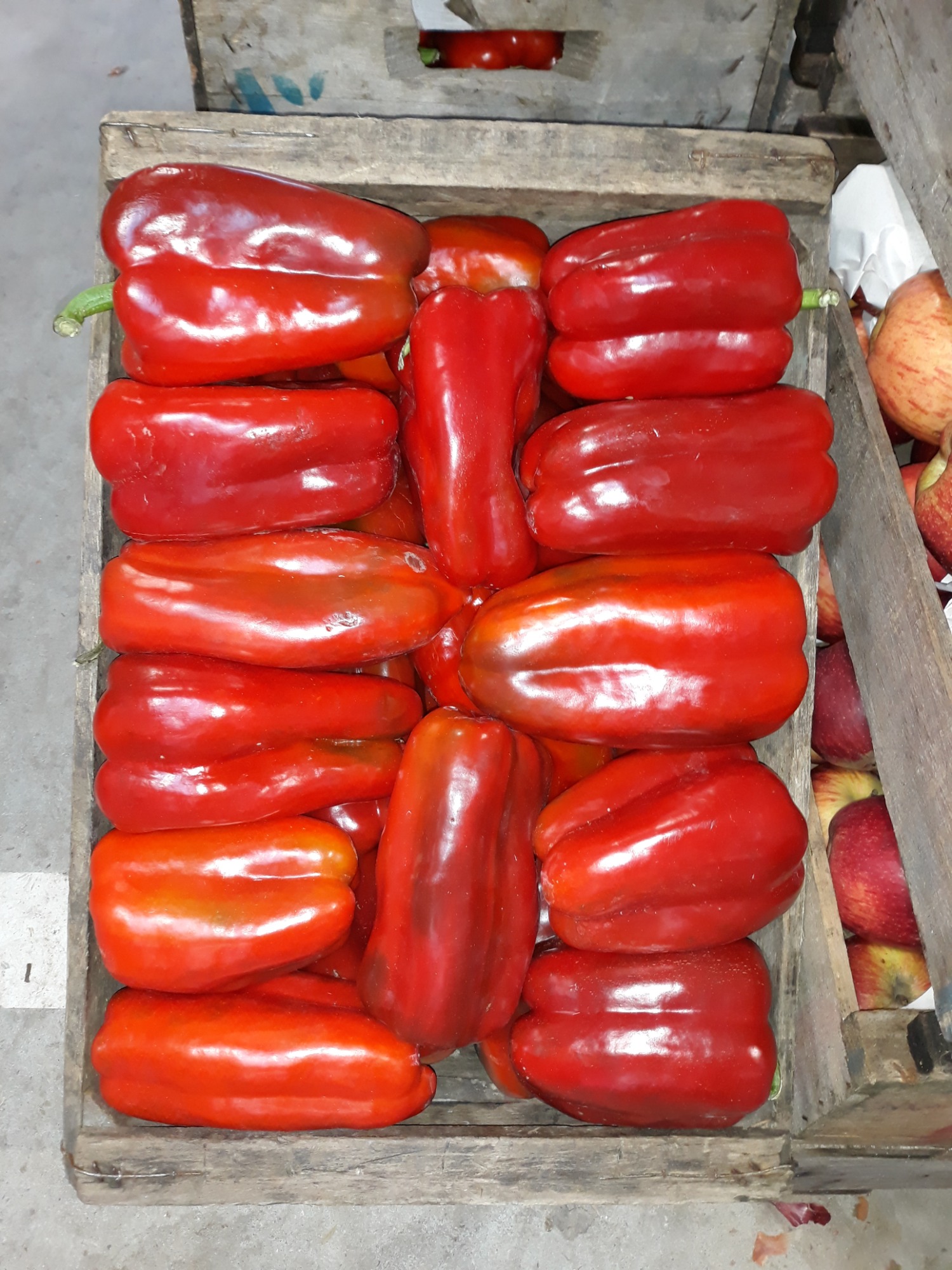 PUESTO ALEJANDRO CIRIGLIANO  