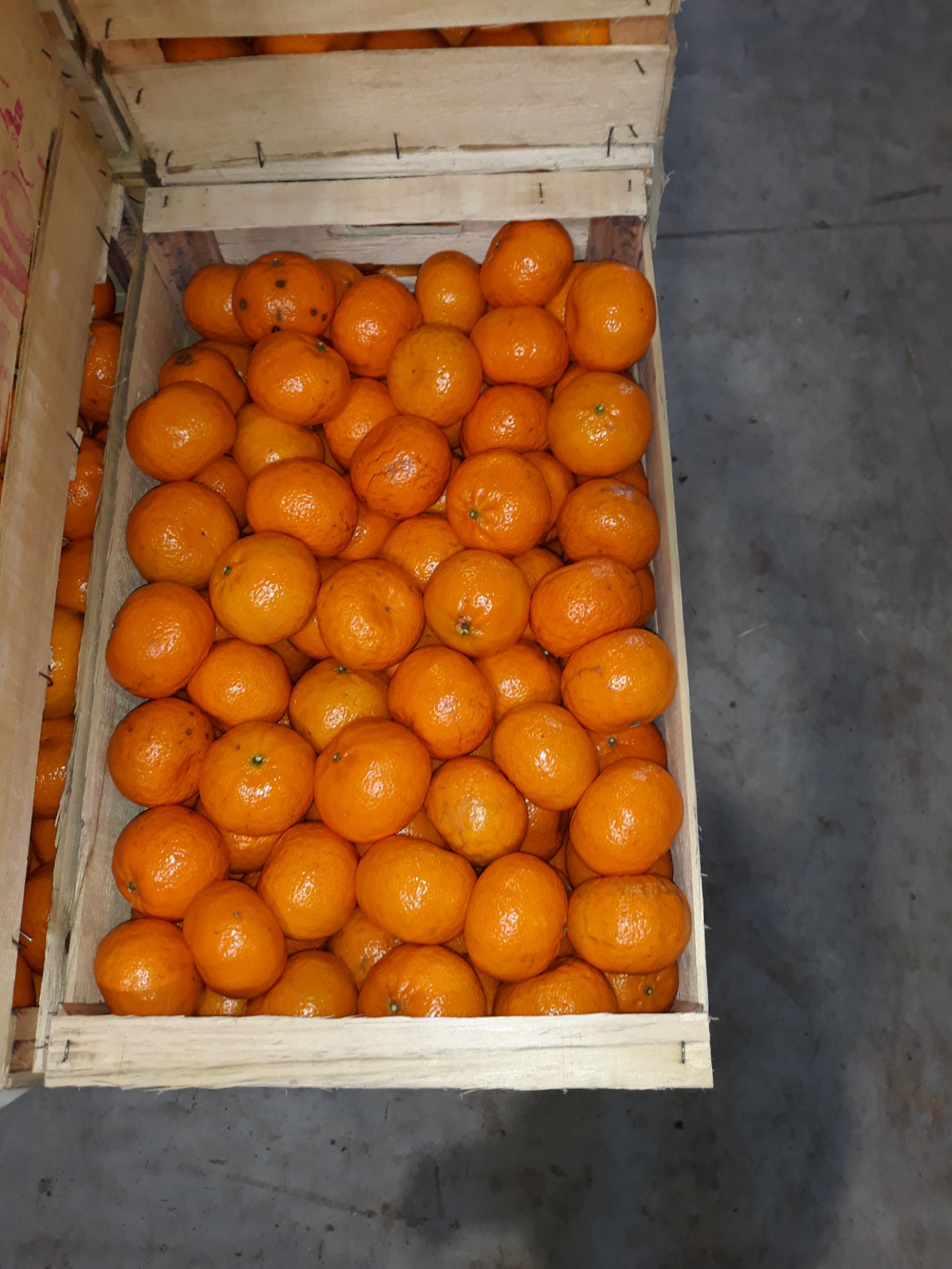 PUESTO ALEJANDRO CIRIGLIANO  