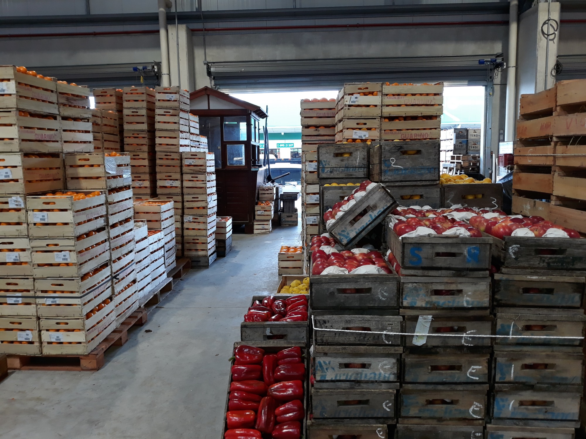 PUESTO ALEJANDRO CIRIGLIANO  