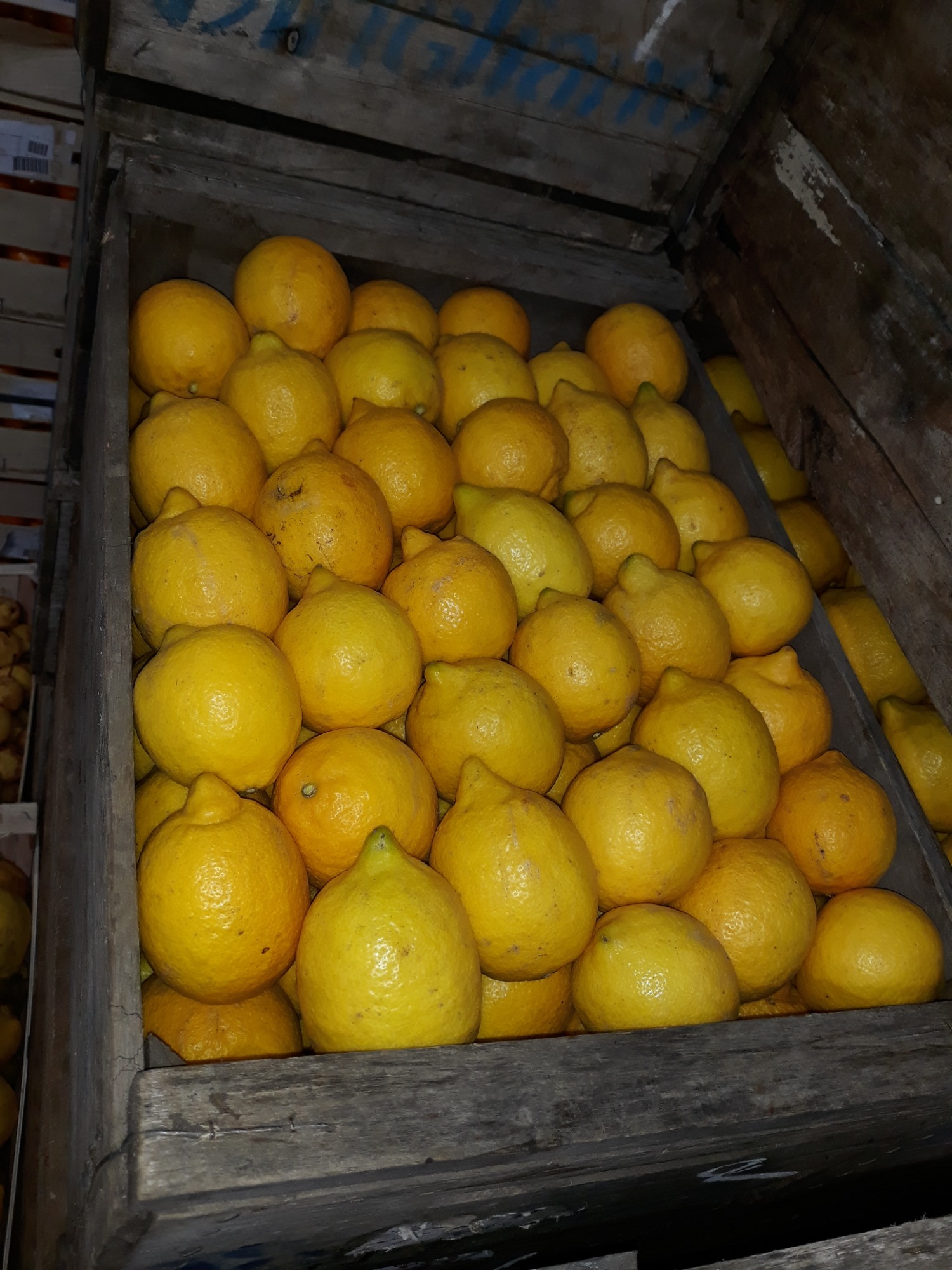 PUESTO ALEJANDRO CIRIGLIANO  