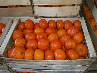 PUESTO ALEJANDRO CIRIGLIANO 