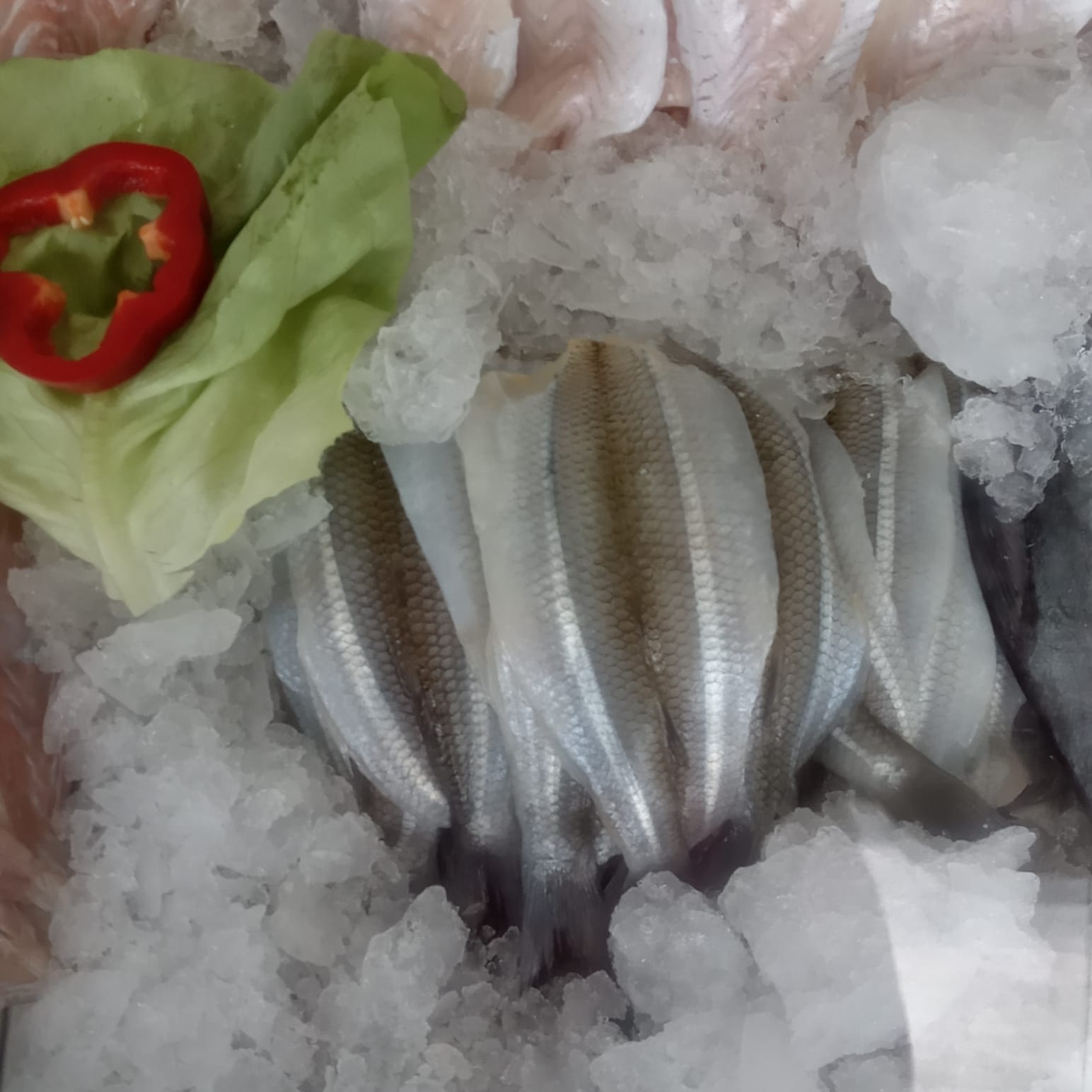 SOL DE MAR PESCADERIA  