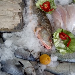 SOL DE MAR PESCADERIA 