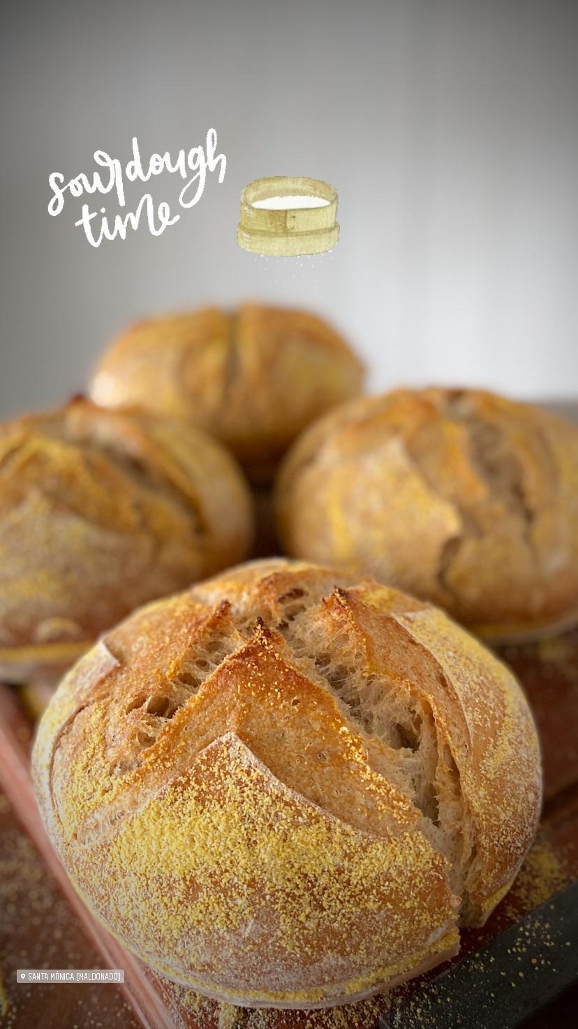 AUTOSERVICE LO DE VIVI  