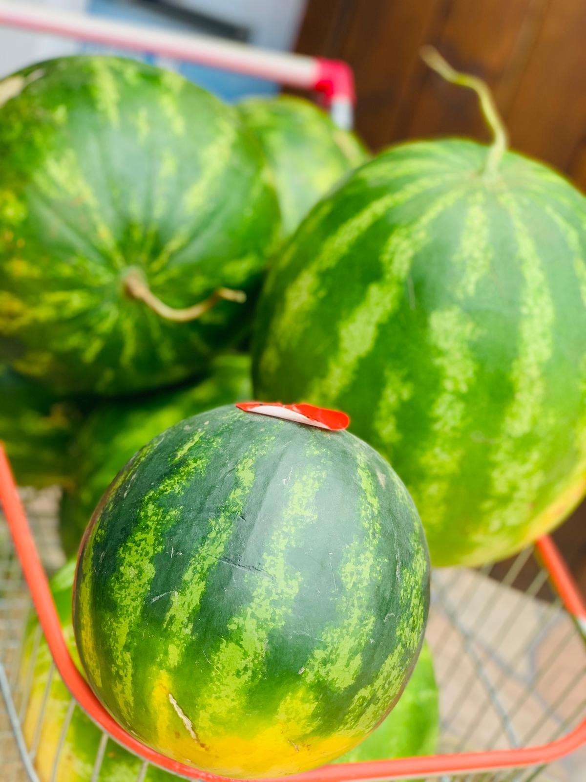 AUTOSERVICE LO DE VIVI  