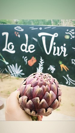 AUTOSERVICE LO DE VIVI 