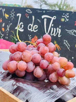 AUTOSERVICE LO DE VIVI 