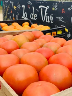 AUTOSERVICE LO DE VIVI 