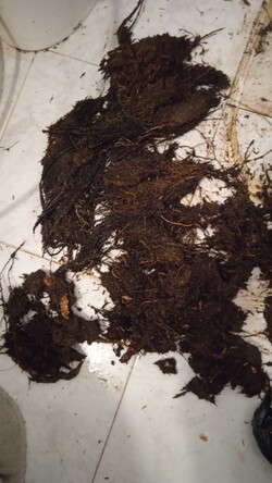 SERVICIOS Y REPARACIONES ANDRÉS desobstruccion de caño de inodoro