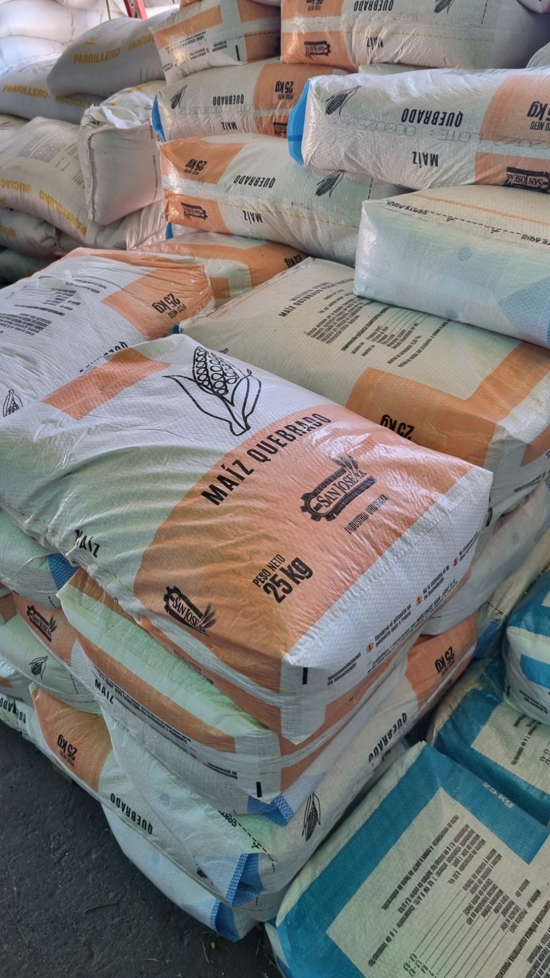 AGROBARRACA CENTENARIO  