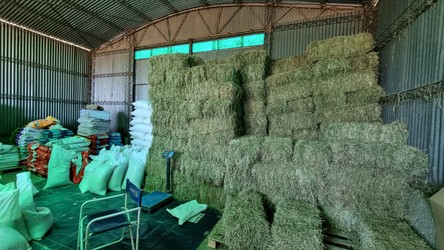 AGROBARRACA CENTENARIO 