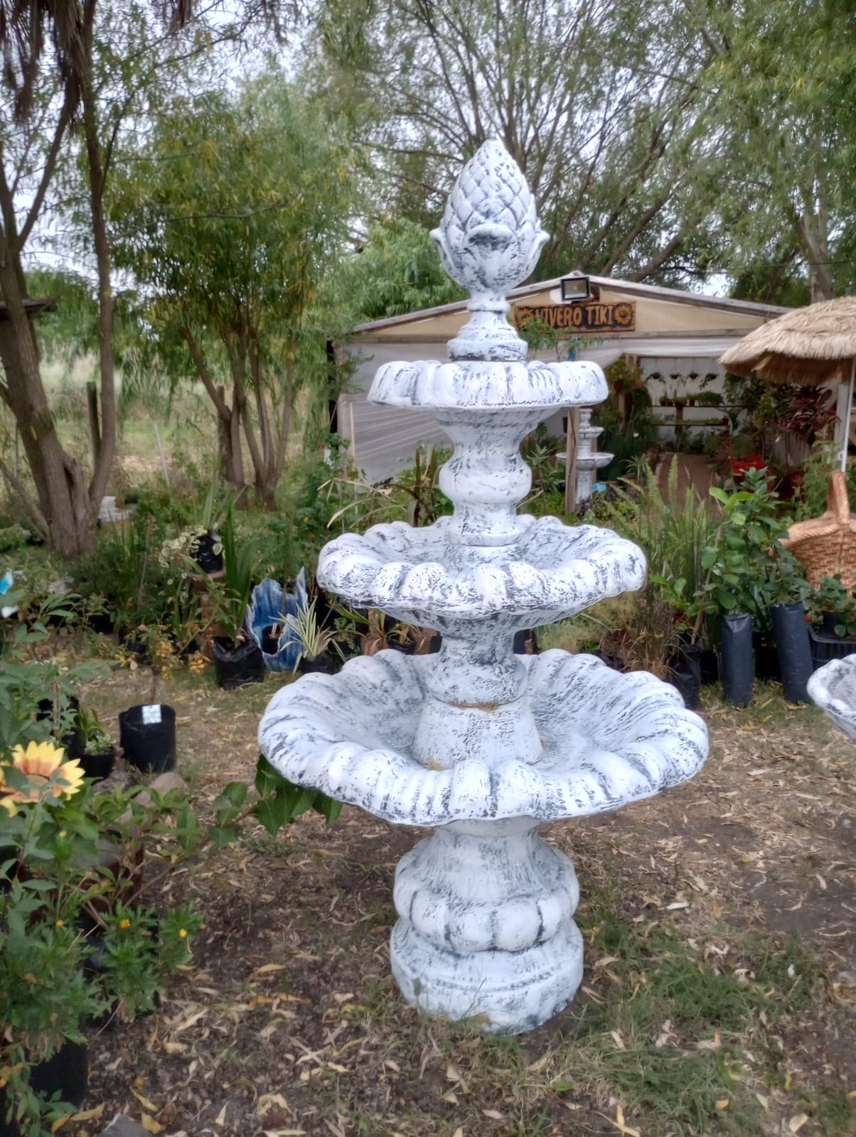 FLORERIA Y VIVERO TIKI  