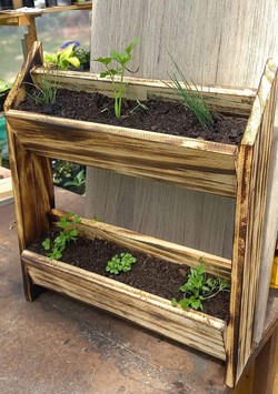 FLORERIA Y VIVERO TIKI 