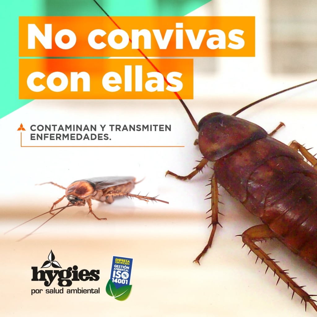 HYGIES  Fumigación contra cucarachas