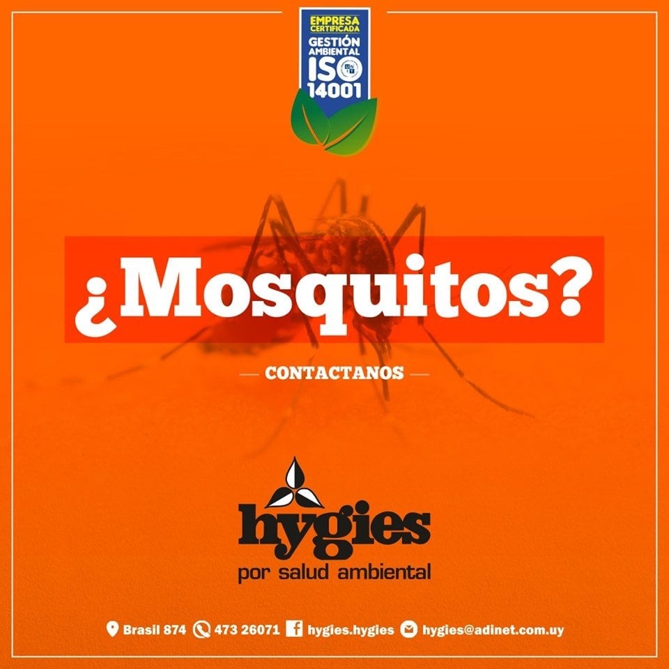 HYGIES  Fumigación contra mosquitos