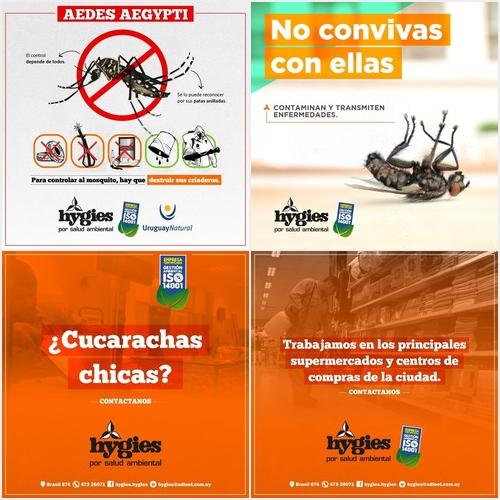 Servicios HYGIES