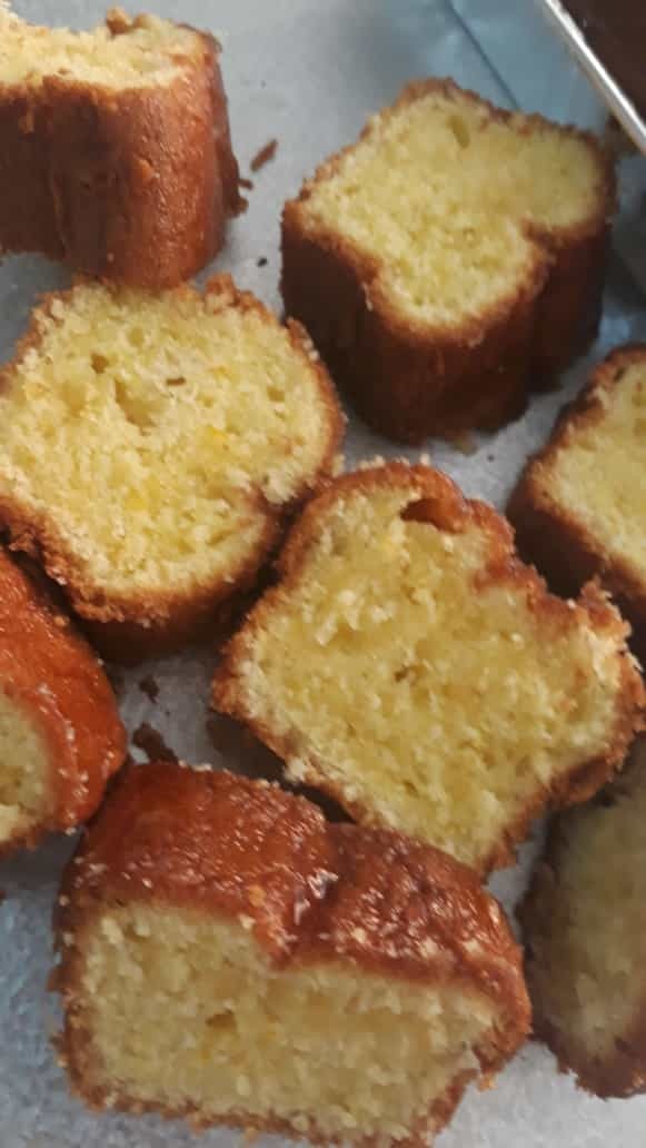 EL GOLOSITO  BUDINES con FRUTAS, PASAS, MANI y NUECES, NARANJA,