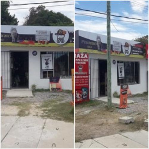 Nosotros MASKOTEANDO