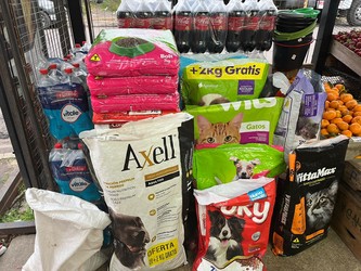 AUTOSERVICE ESCAYOLA 