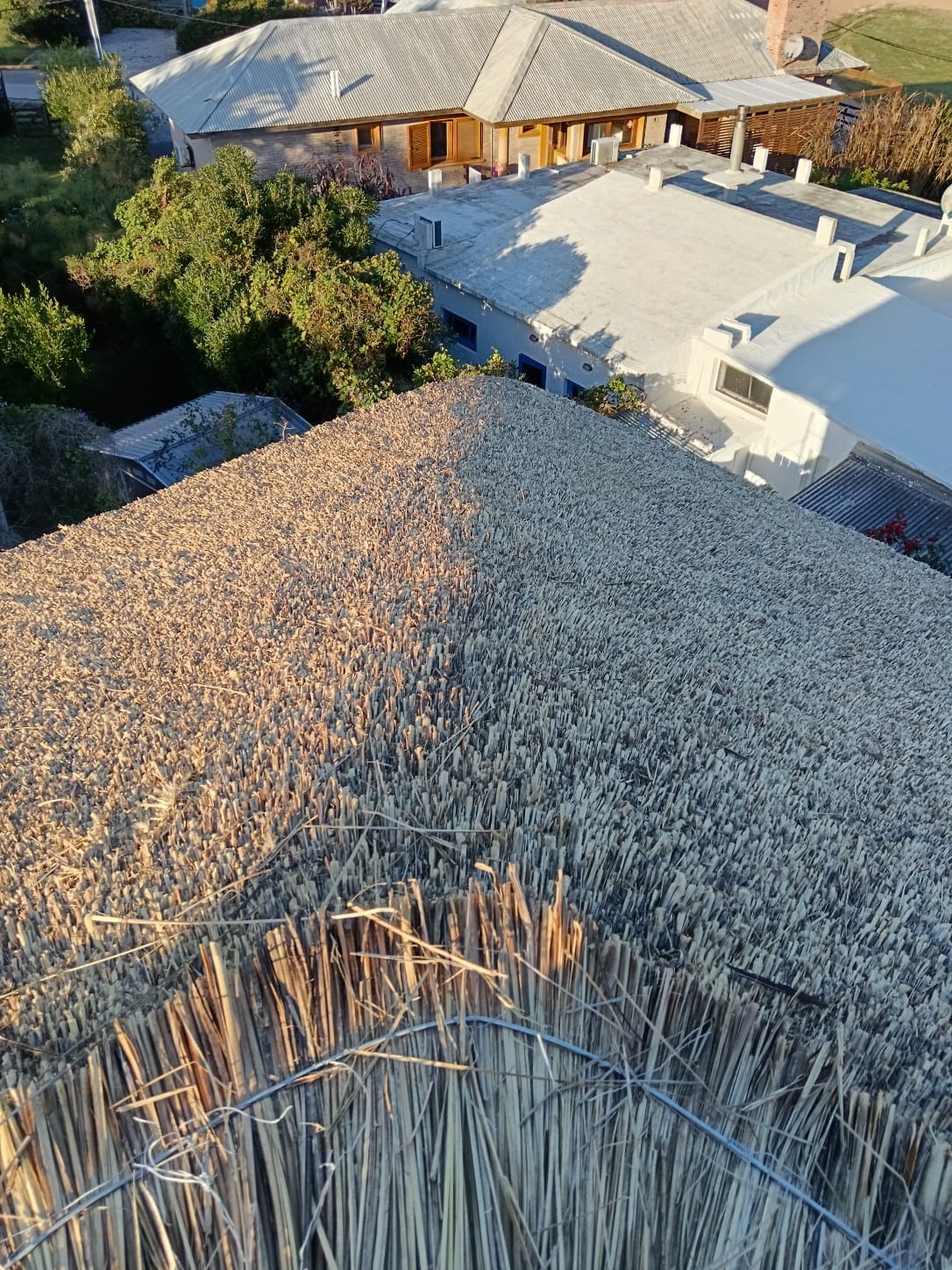 QUINCHOS DEL SACRAMENTO  