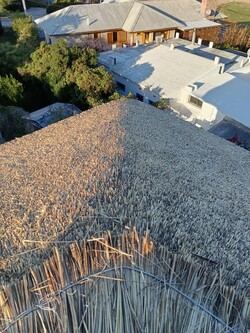 QUINCHOS DEL SACRAMENTO 