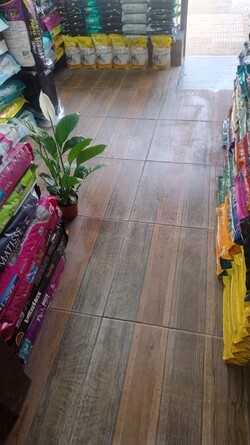 BIGOTES Y PATAS LAS PIEDRAS 