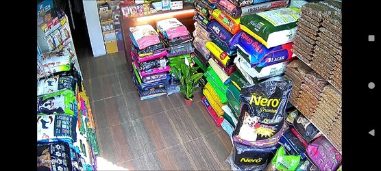 BIGOTES Y PATAS LAS PIEDRAS 