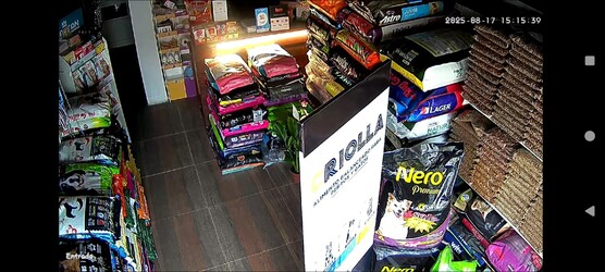 BIGOTES Y PATAS LAS PIEDRAS 