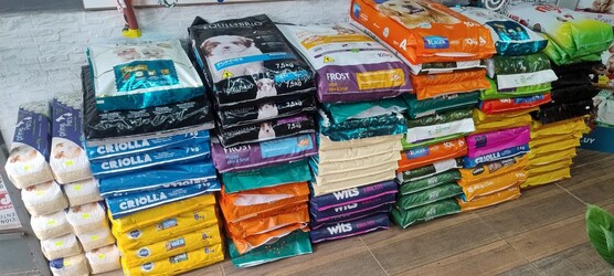 BIGOTES Y PATAS LAS PIEDRAS 