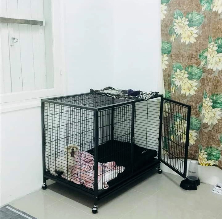 VETERINARIA ANIMALADAS  