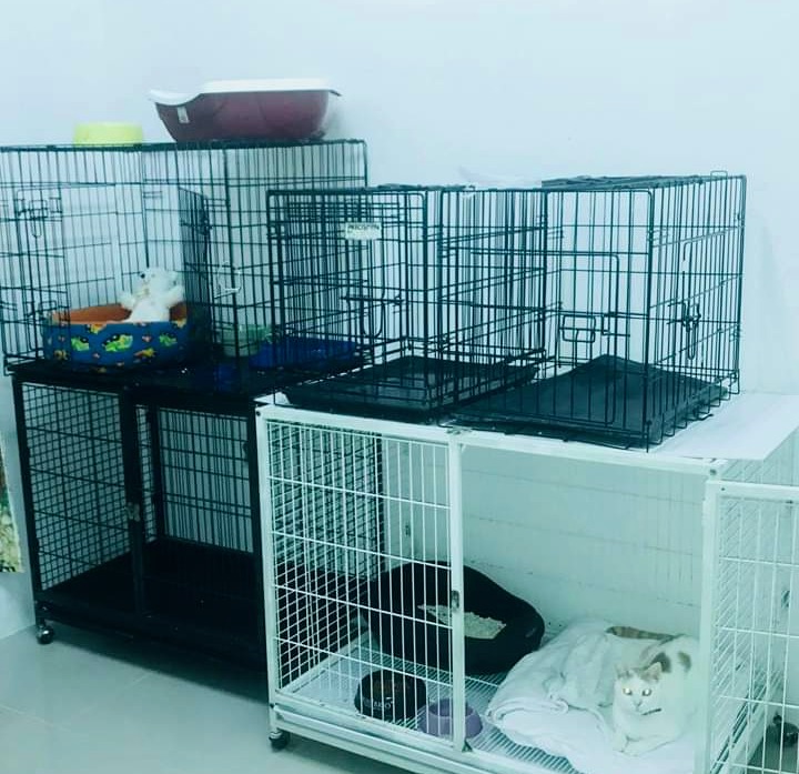 VETERINARIA ANIMALADAS  