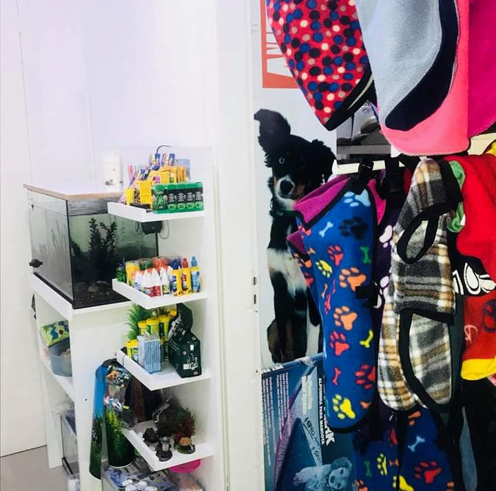 VETERINARIA ANIMALADAS  