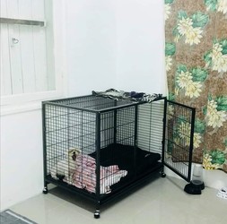 VETERINARIA ANIMALADAS 