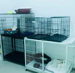 VETERINARIA ANIMALADAS 