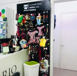 VETERINARIA ANIMALADAS 