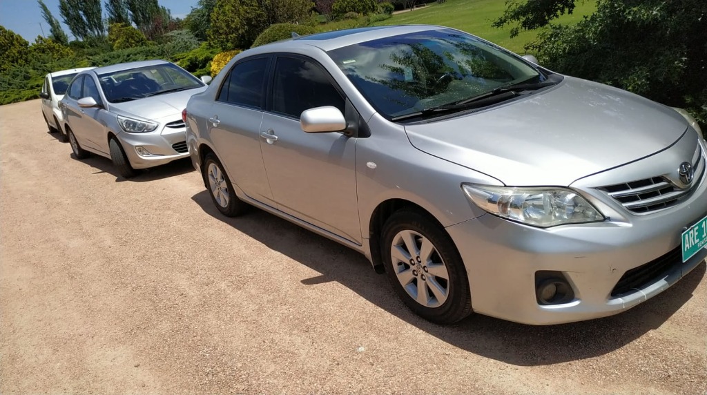 REMIS SERGIO GONZALEZ  