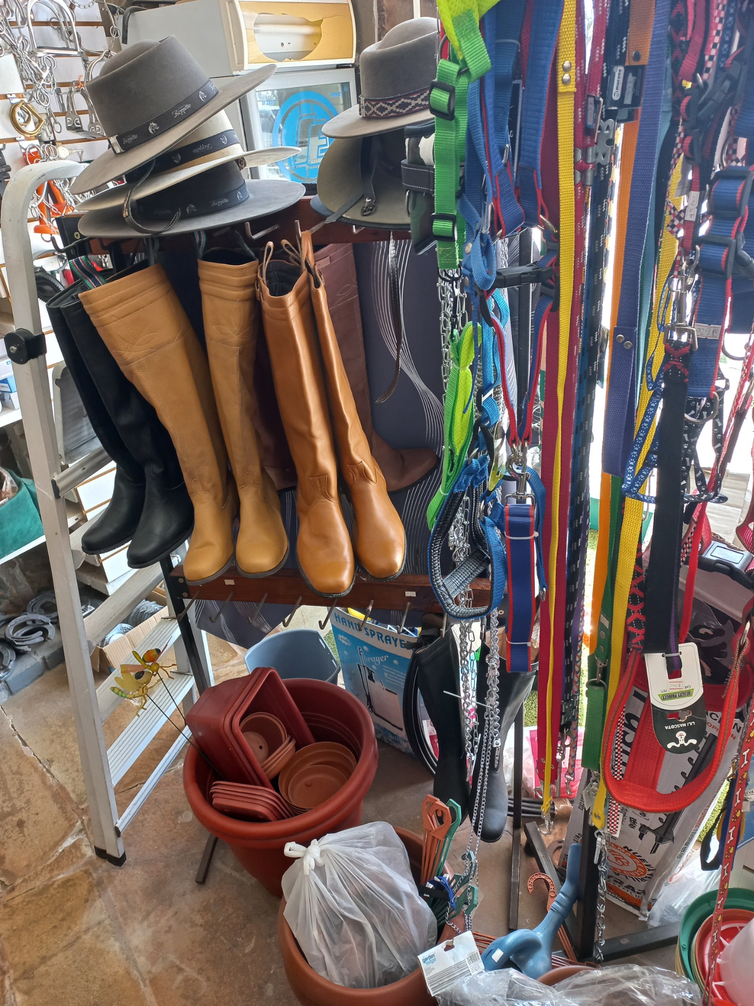 AGRO CAMPO VETERINARIA  