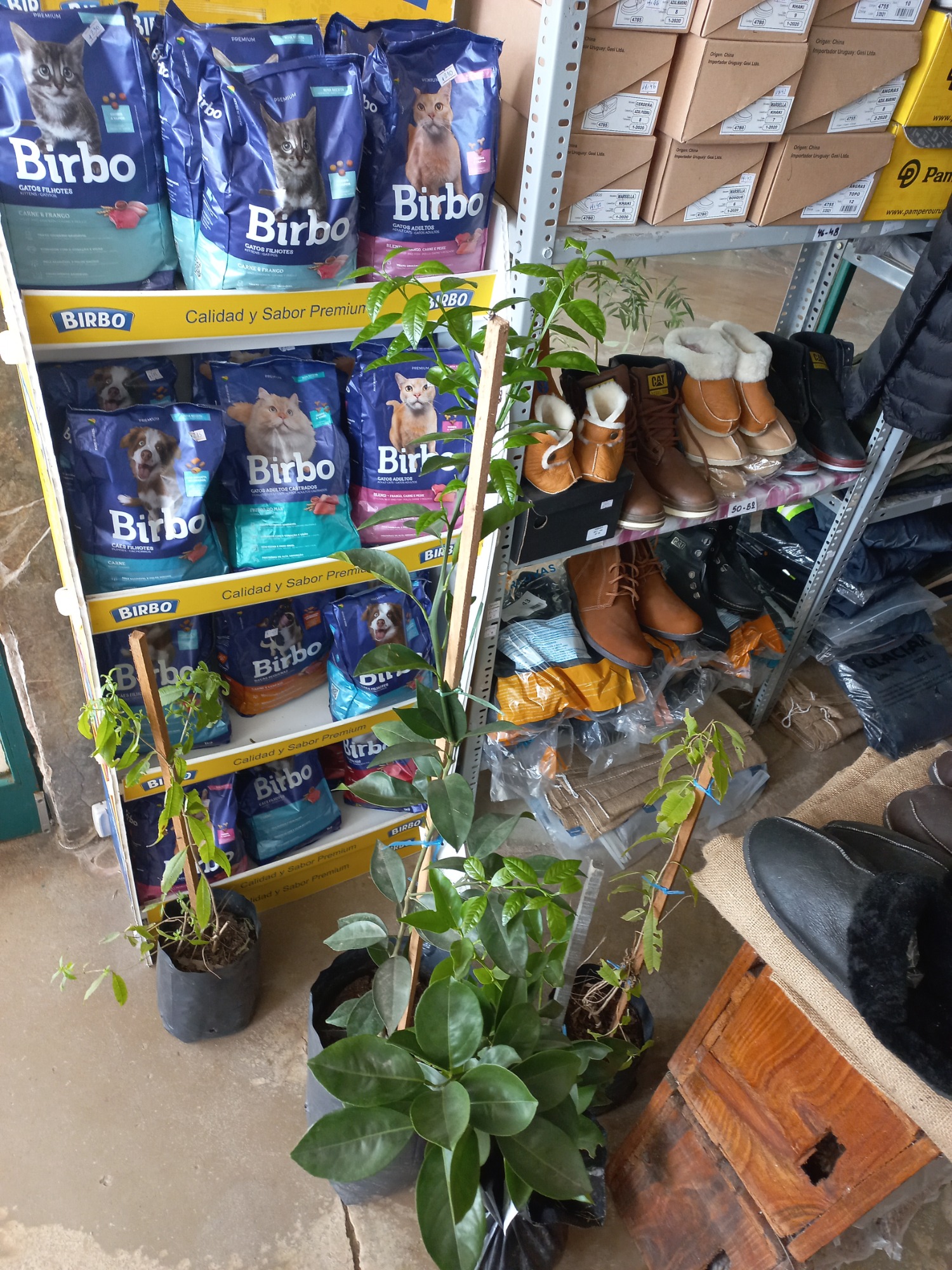 AGRO CAMPO VETERINARIA  