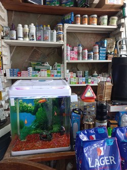 AGRO CAMPO VETERINARIA 