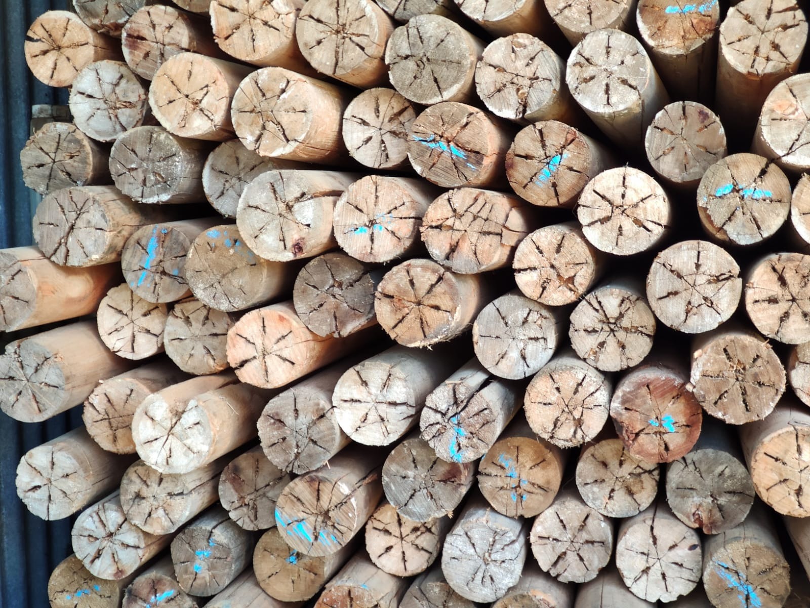 MADERAS BARRACA LA FLIA  