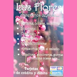 REGALERIA LAS FLORES 