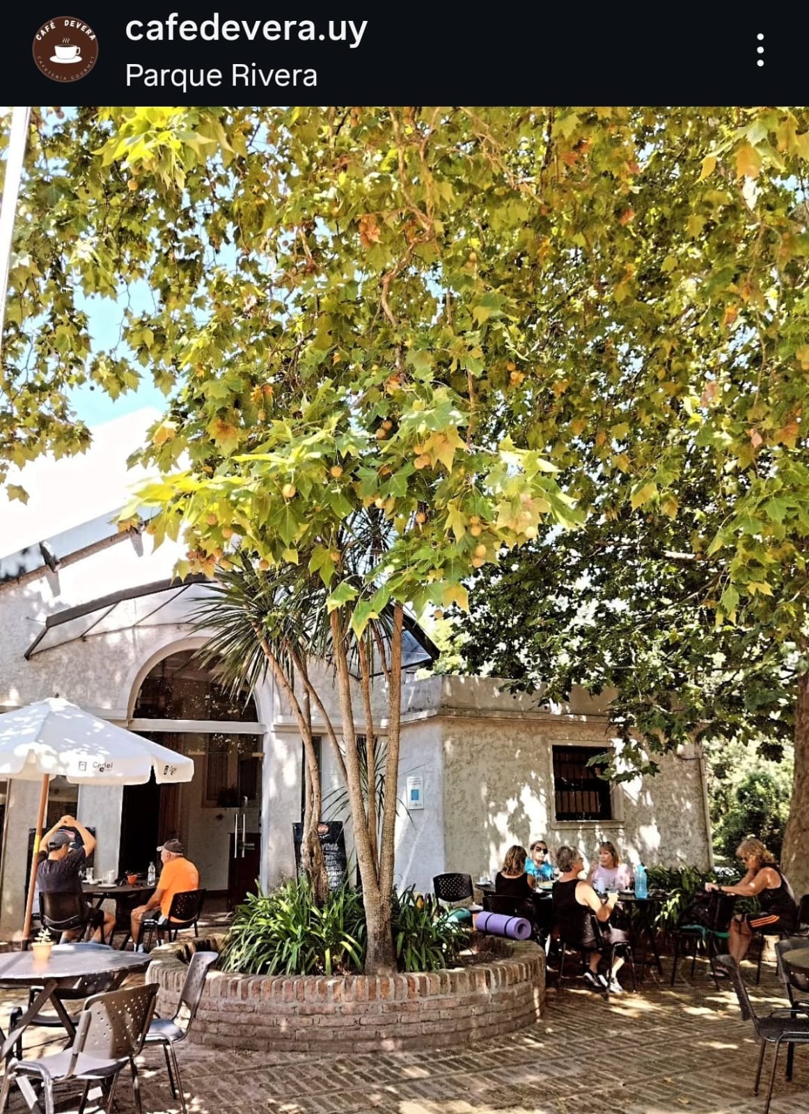 Café de Vera - NyC Delicias Caseras  