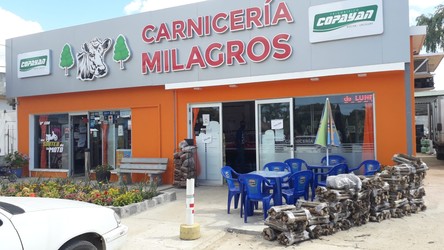 CARNICERIA MILAGROS 