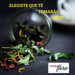 HERBAFLORA - HERBORISTERIA 