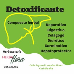 HERBAFLORA - HERBORISTERIA 